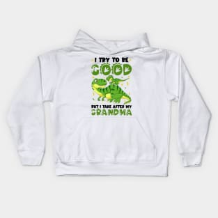 Dinosaur I Try To Be Good But I Take After My Grandma Kids Hoodie